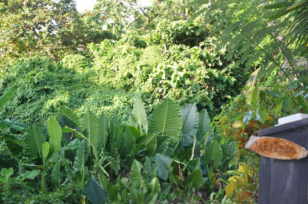 The Fence Bed & Breakfast Bentota Eksteriør bilde